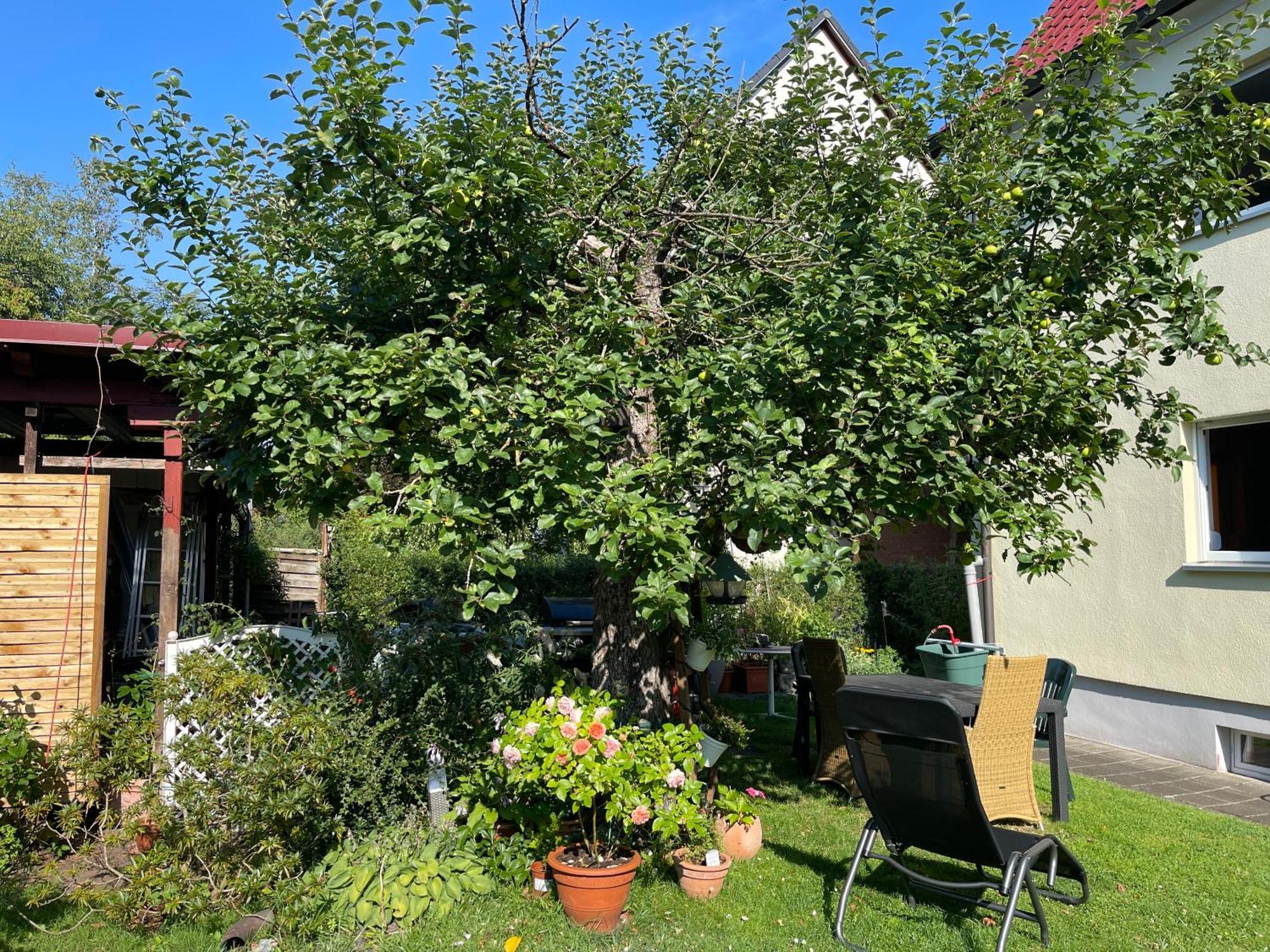 Claudias Apartment - 20 Minuten Bis Messe Nuernberg Екстериор снимка